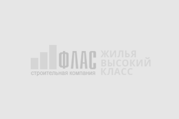 Будівельна компанія ФЛАС. Робимо що можемо в очікуванні Перемоги