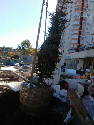 ЖК "Квант" продолжается благоустройство придомовой территории