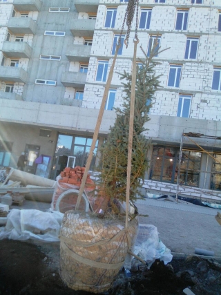ЖК "Квант" продолжается благоустройство придомовой территории